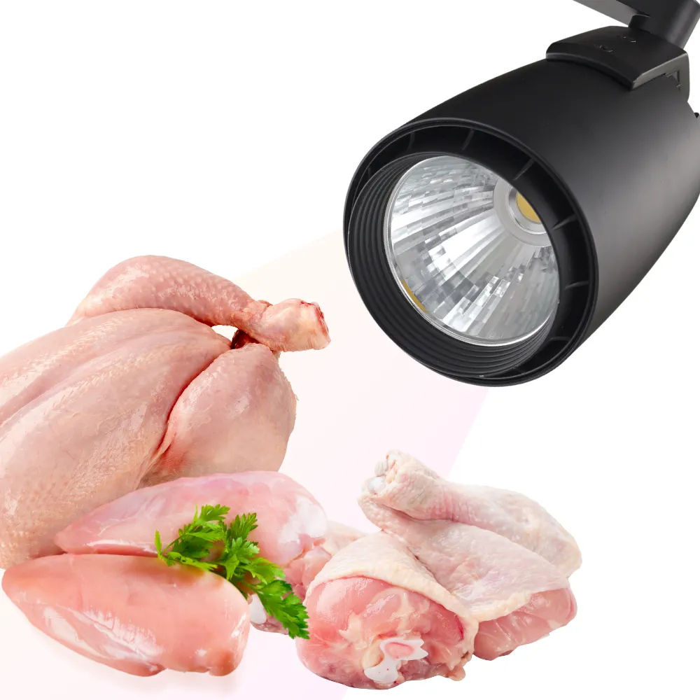 Reflektor Szynowy LED LedMaxx 302B 24W | Barwa 3100K – do Świeżego Mięsa