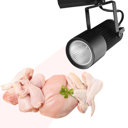 Lampa Reflektor Szynowy do Białego Świeżego Mięsa LED 30W | Barwa 3100K